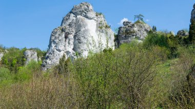Sarı sonbahar yaprakları mavi gökyüzüne karşı