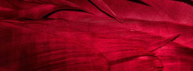 Görünür desenli kırmızı tüyler