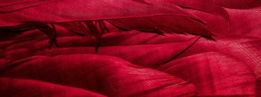 Görünür desenli kırmızı tüyler