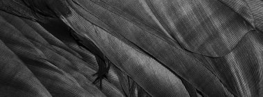 görünür dokuya sahip siyah tüyler