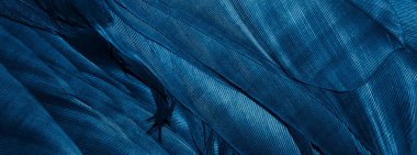 Görünür dokuya sahip mavi tüyler