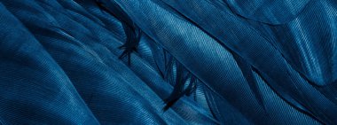 Görünür dokuya sahip mavi tüyler