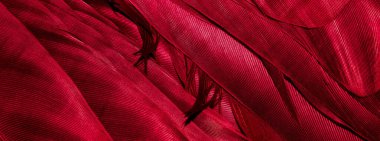 Görünür desenli kırmızı tüyler