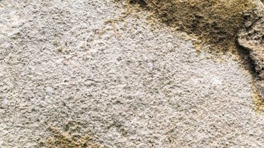 Görünür dokusu olan beyaz kireçtaşı