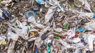 Vahşi çöp yığını. Kalan camlar, ormandaki plastikler.