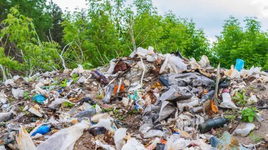 Vahşi çöp yığını. Kalan camlar, ormandaki plastikler.