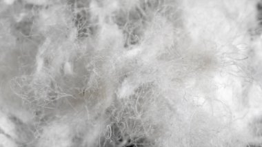 Görünür dokuya sahip kaz tüyü