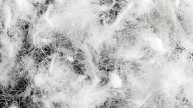 Görünür dokuya sahip kaz tüyü