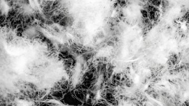 Görünür dokuya sahip kaz tüyü