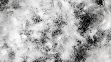 Görünür dokuya sahip kaz tüyü