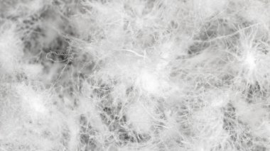 Görünür dokuya sahip kaz tüyü