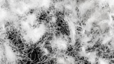 Görünür dokuya sahip kaz tüyü