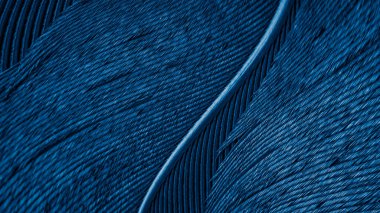 Mavi kuş tüyü dokusu