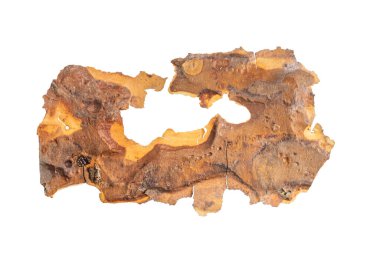 ıssız çam kabuğu parçaları