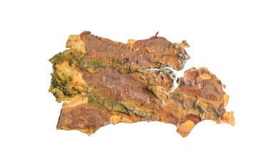 ıssız çam kabuğu parçaları