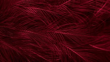 Görünür desenli kırmızı tüyler