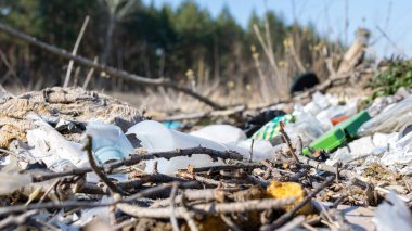 Vahşi çöp yığını. Kalan camlar, ormandaki plastikler.