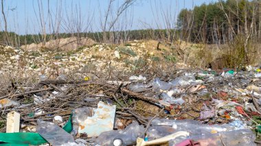 Vahşi çöp yığını. Kalan camlar, ormandaki plastikler.