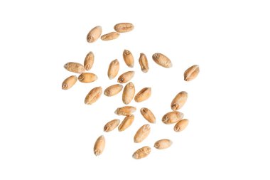 Beyaz arkaplanda izole buğday taneleri