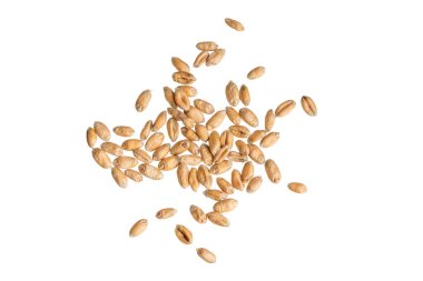 Beyaz arkaplanda izole buğday taneleri