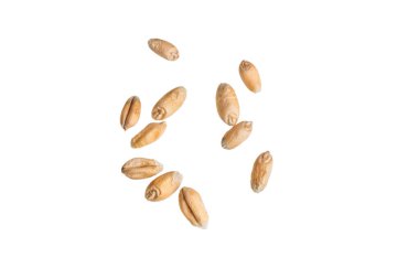 Beyaz arkaplanda izole buğday taneleri