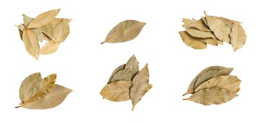 Beyaz bir arka plan üzerinde kuru defne yaprağı