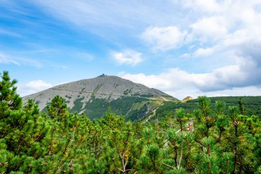 view of Mount Sniezka against the background of the forest clipart