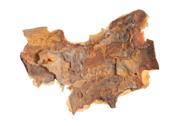 ıssız çam kabuğu parçaları