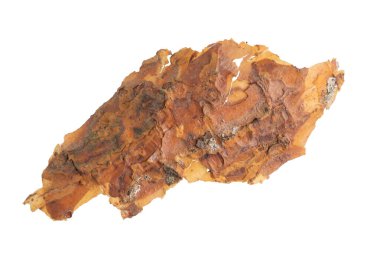 ıssız çam kabuğu parçaları