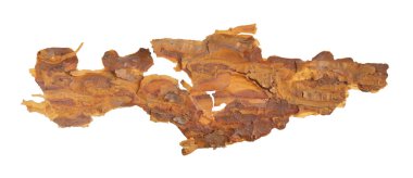 ıssız çam kabuğu parçaları