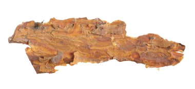 ıssız çam kabuğu parçaları