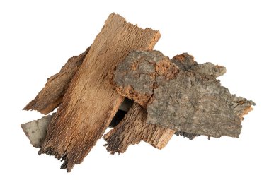 kahverengi kayın kabuğu ve görünür detaylar