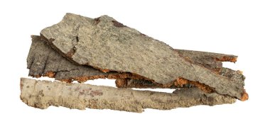 kahverengi kayın kabuğu ve görünür detaylar