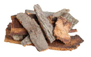 kahverengi kayın kabuğu ve görünür detaylar