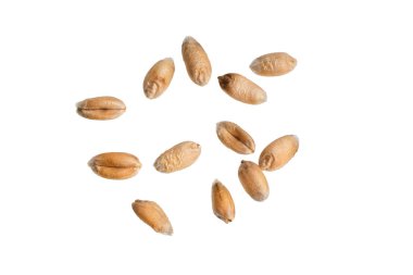 Beyaz arkaplanda izole buğday taneleri