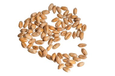 Beyaz arkaplanda izole buğday taneleri