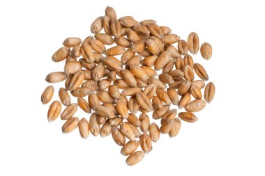 Beyaz arkaplanda izole buğday taneleri