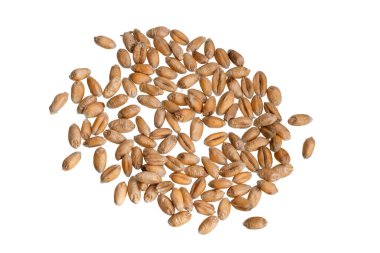 Beyaz arkaplanda izole buğday taneleri