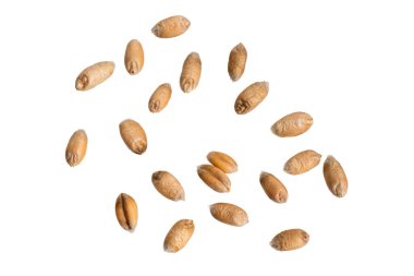 Beyaz arkaplanda izole buğday taneleri