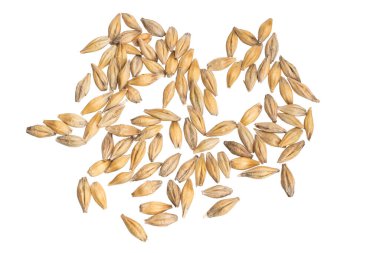 Beyaz arka planda arpa taneleri