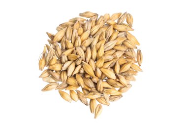 Beyaz arka planda arpa taneleri