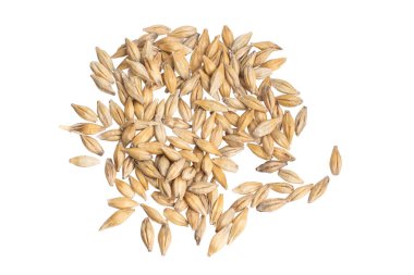 Beyaz arka planda arpa taneleri