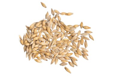 Beyaz arka planda arpa taneleri