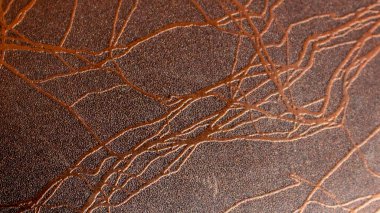 kahverengi sahte deri ve görünür detaylar. arkaplan