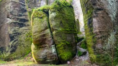  Çek Cumhuriyeti, Adrspach 'taki Rock kasabası