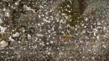 Görünür dokusu olan eski alüminyum çarşaf. arkaplan