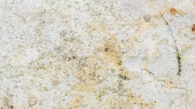 İlginç bir dokusu olan hafif kireçtaşı. arkaplan