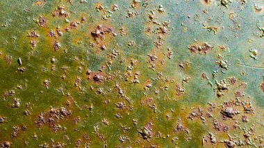 rusting old metal plate painted with green paint clipart