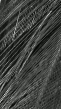 Siyah horoz tüyleri. arkaplan veya doku