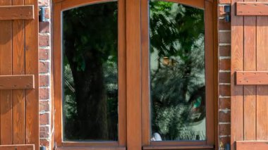 Kırmızı tuğla bir duvarın arka planında ahşap kepenk.